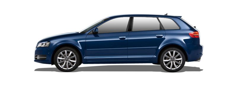 Запчасти AUDI 1 A3 Sportback (8VA, 8VF) 40 TDI quattro