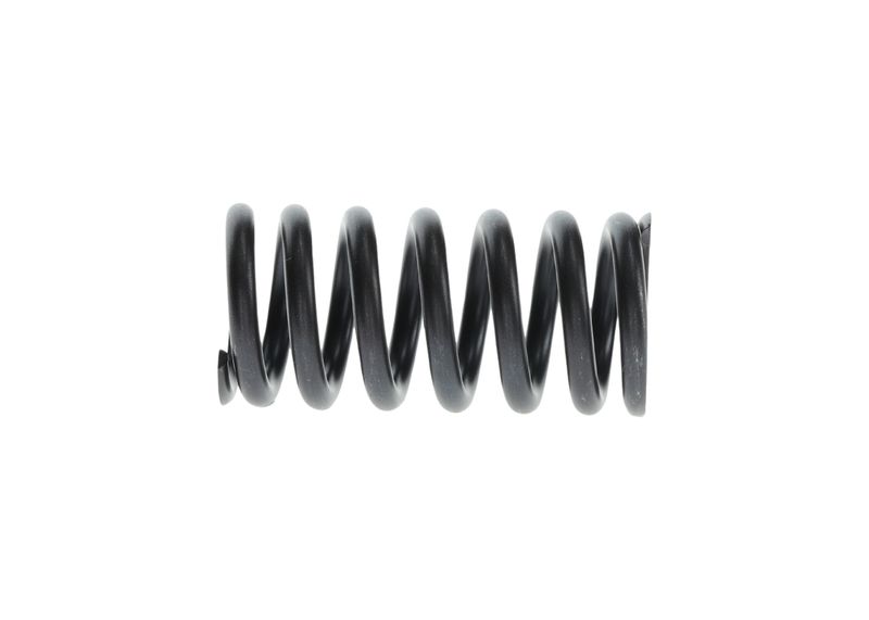 Рессора BOSCH 2414619021
