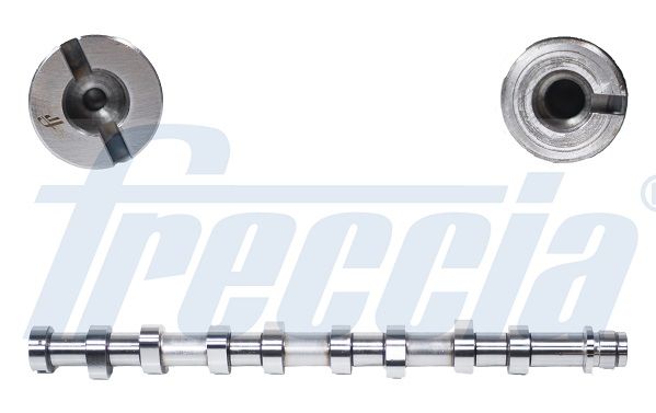 Распредвал FRECCIA CM052144