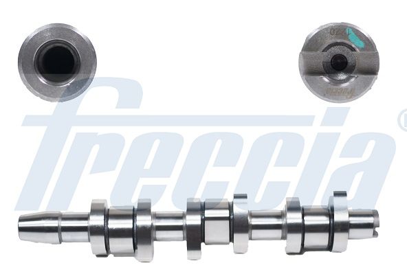 Распредвал FRECCIA CM052263