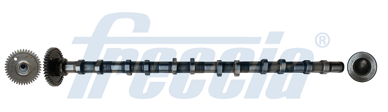 Распредвал FRECCIA CM052355