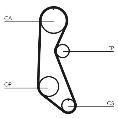 Зубчатый ремень Continental CT816
