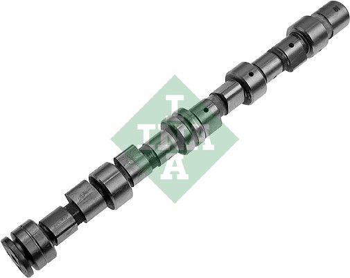 Распредвал INA 428004910
