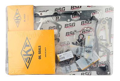 Комплект прокладок, двигатель BSG BSG30115025