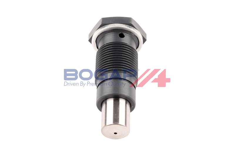 Натяжитель, цепь привода BOGAP A1312110