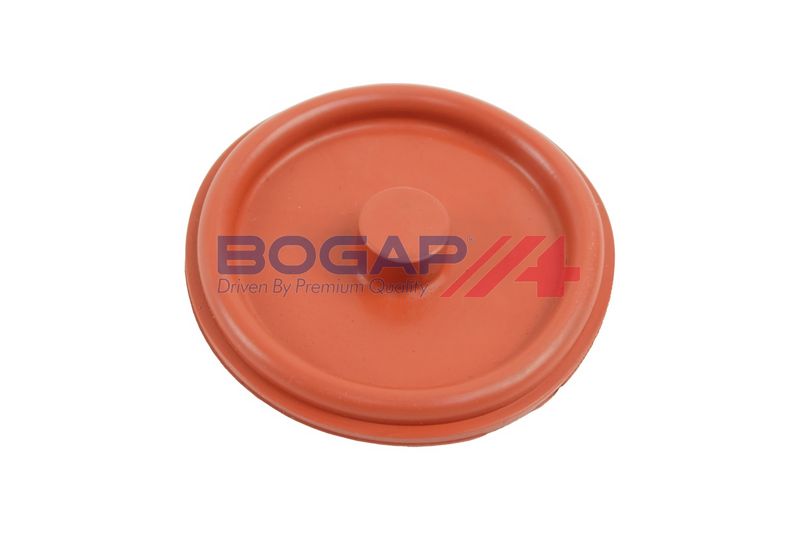 Клапан, отвода воздуха из картера BOGAP E1116100