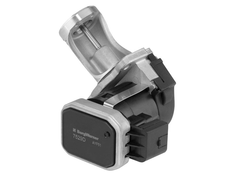 Клапан возврата ОГ BorgWarner 7529D