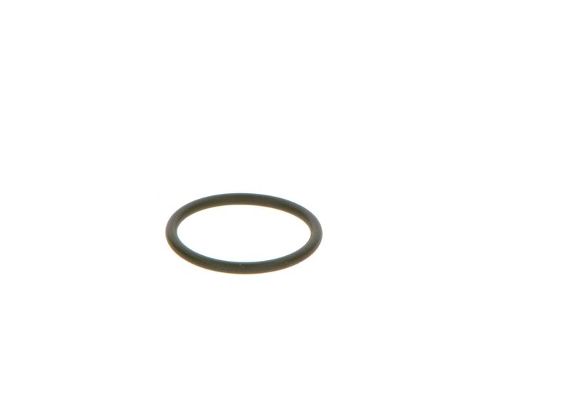 Резиновое кольцо BOSCH F00VC38042