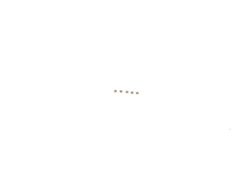 Ремкомплект, система common-rail BOSCH F00ZC99750