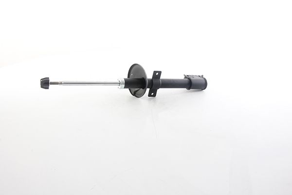 Амортизатор BSG BSG75300005