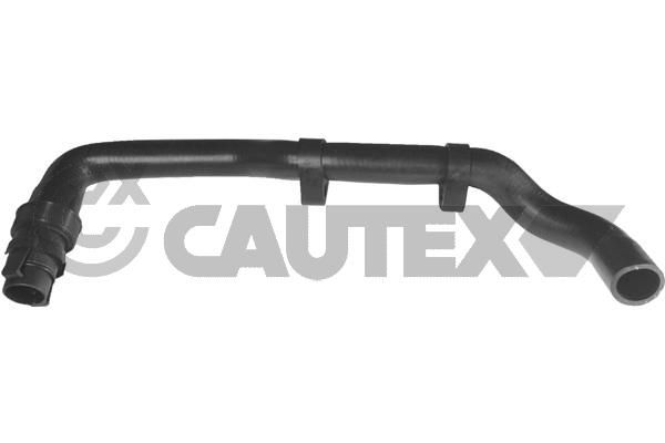 Шланг радиатора CAUTEX 036053