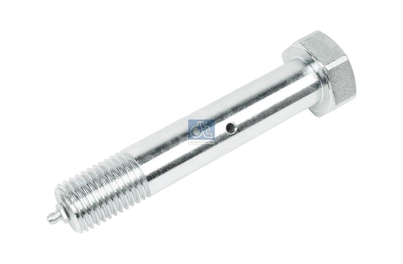 Болт, цапфа DT 262060
