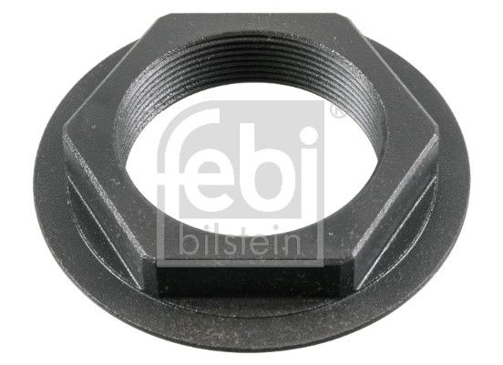 Гайка, цапфа FEBI 181119
