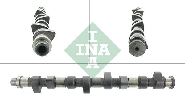 Распредвал INA 428015310