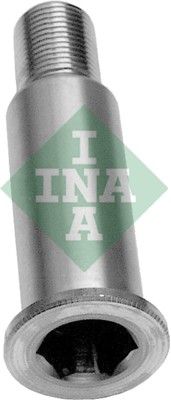 Коренная шейка, рычаг натяжного ролика INA 533006420