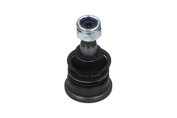 Шарнир независимой подвески / поворотного рычага KAVO PARTS SBJ6509