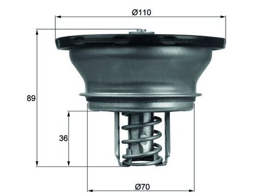 Термостат, охлаждающая жидкость MAHLE THD376
