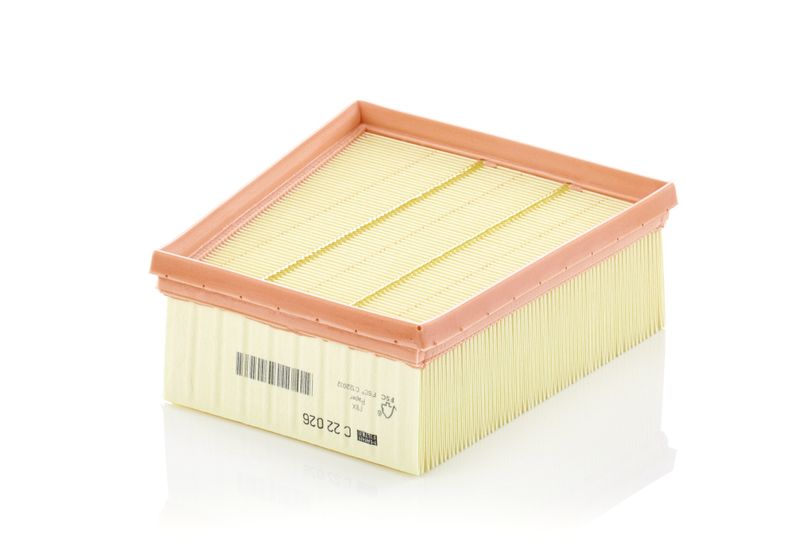 Воздушный фильтр MANN-FILTER C22026