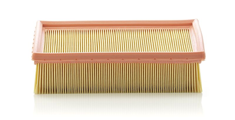 Воздушный фильтр MANN-FILTER C24105