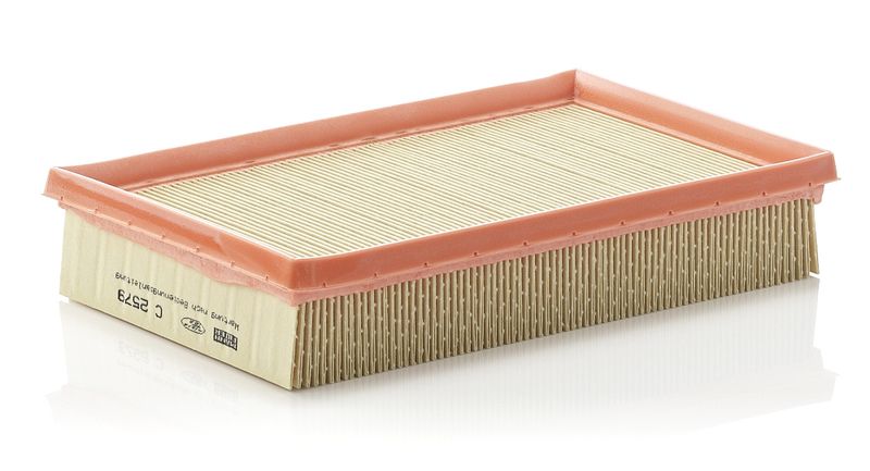 Воздушный фильтр MANN-FILTER C2579