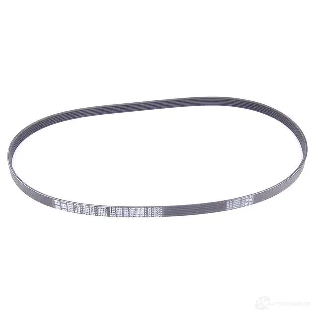 Клиновой рифленый ремень 6PK X 1538
 BMW 11287636379