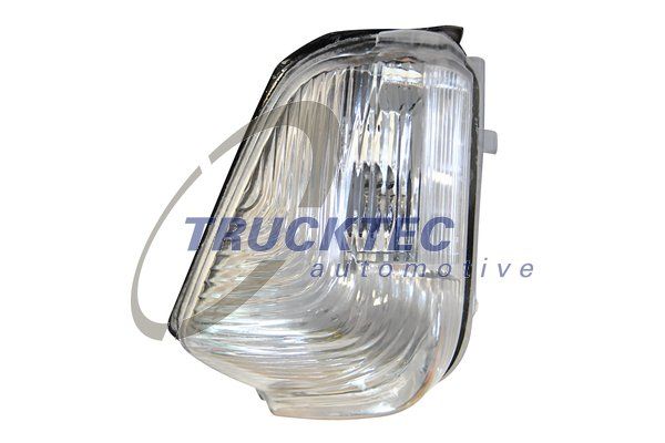 Корпус, фонарь указателя поворота TRUCKTEC AUTOMOTIVE 0258363