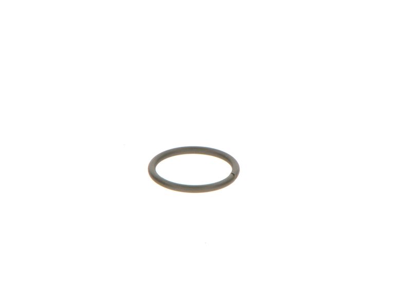Уплотнительное кольцо BOSCH F00VC23002
