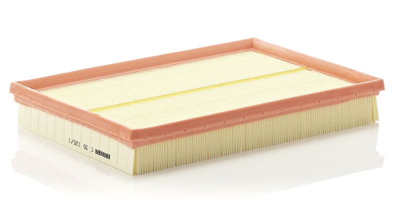 Воздушный фильтр MANN-FILTER C301251