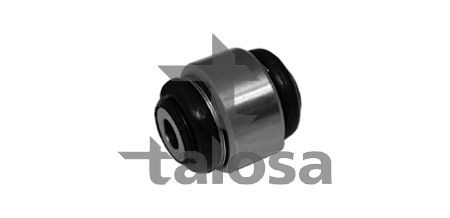 Подвеска, корпус колесного подшипника TALOSA 6408896