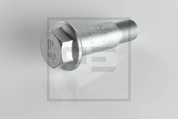 Болт, корпус скобы тормоза PE 01618700A