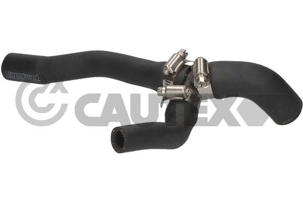 Шланг радиатора CAUTEX 016001