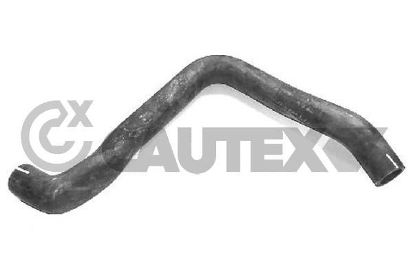 Шланг радиатора CAUTEX 026547