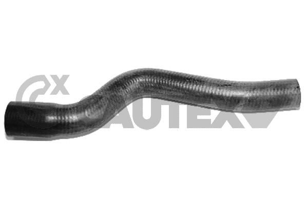 Шланг радиатора CAUTEX 026616