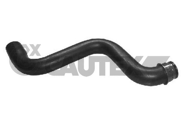 Шланг радиатора CAUTEX 031064