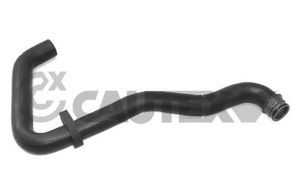 Шланг радиатора CAUTEX 031068