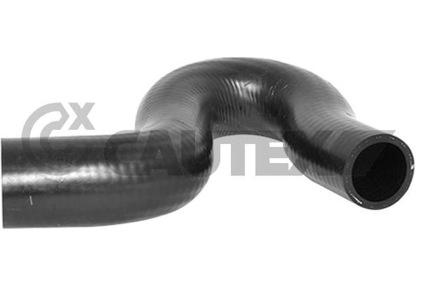 Шланг радиатора CAUTEX 036493