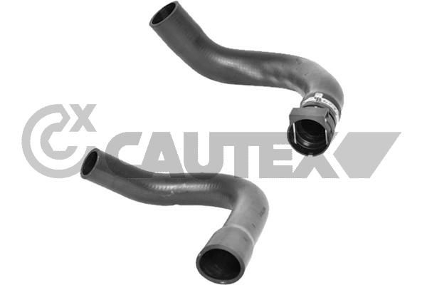 Шланг радиатора CAUTEX 036774