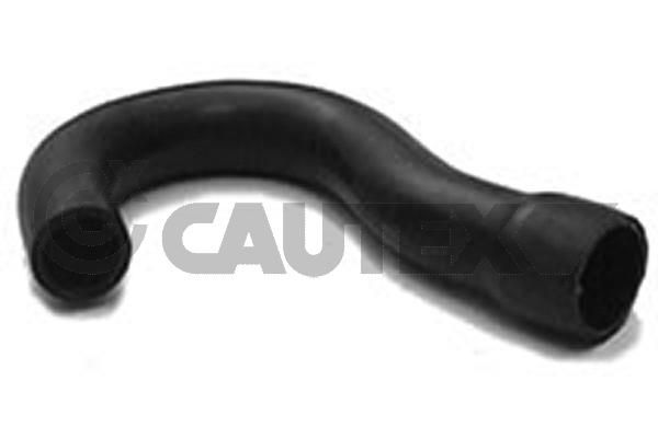Шланг радиатора CAUTEX 186022