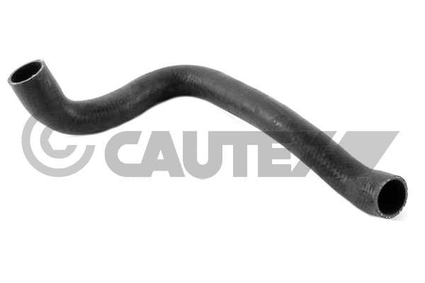 Шланг радиатора CAUTEX 206007