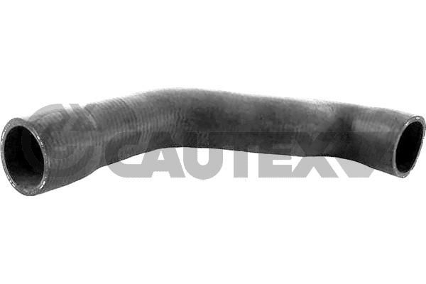 Шланг радиатора CAUTEX 206008