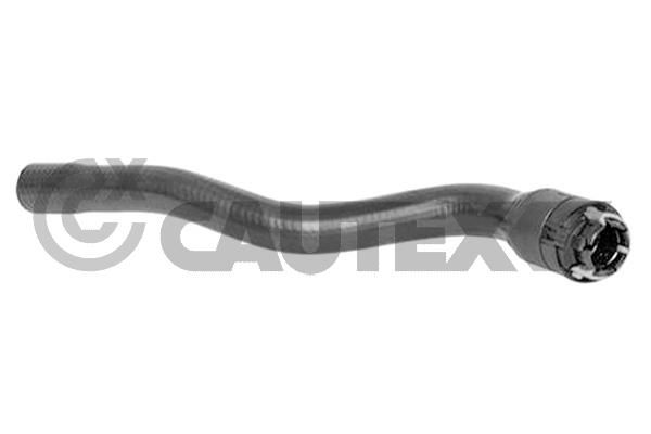 Шланг радиатора CAUTEX 481120