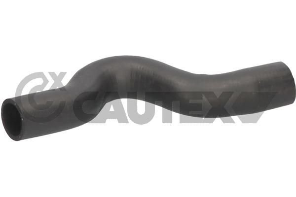 Шланг радиатора CAUTEX 486081