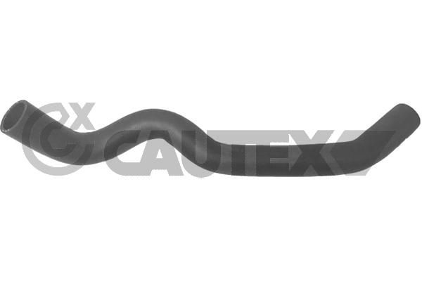 Шланг радиатора CAUTEX 753556