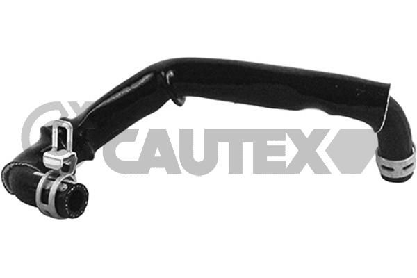 Шланг радиатора CAUTEX 753815
