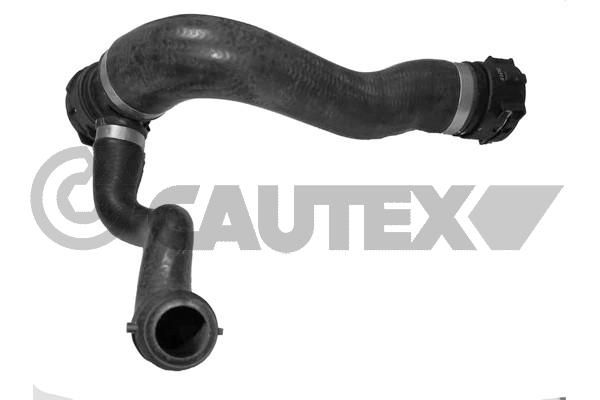 Шланг радиатора CAUTEX 754115