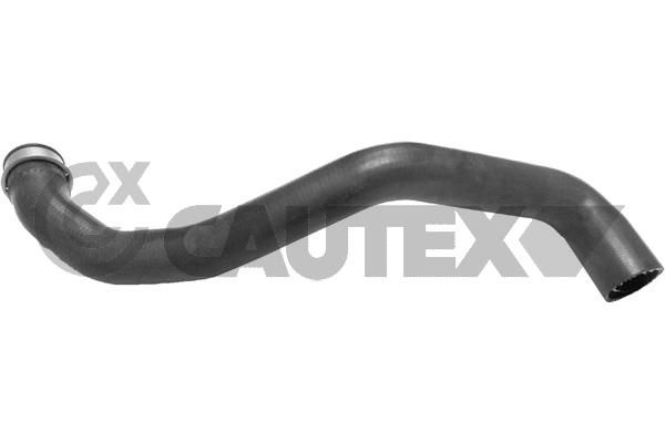 Шланг радиатора CAUTEX 754304
