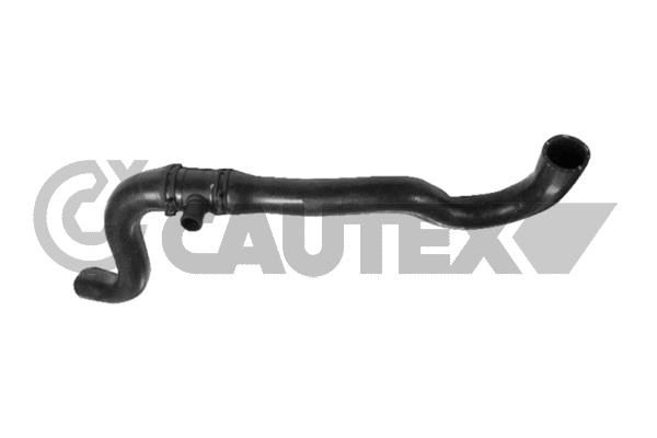 Шланг радиатора CAUTEX 770497