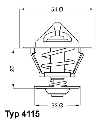 Термостат, охлаждающая жидкость BorgWarner 411592D