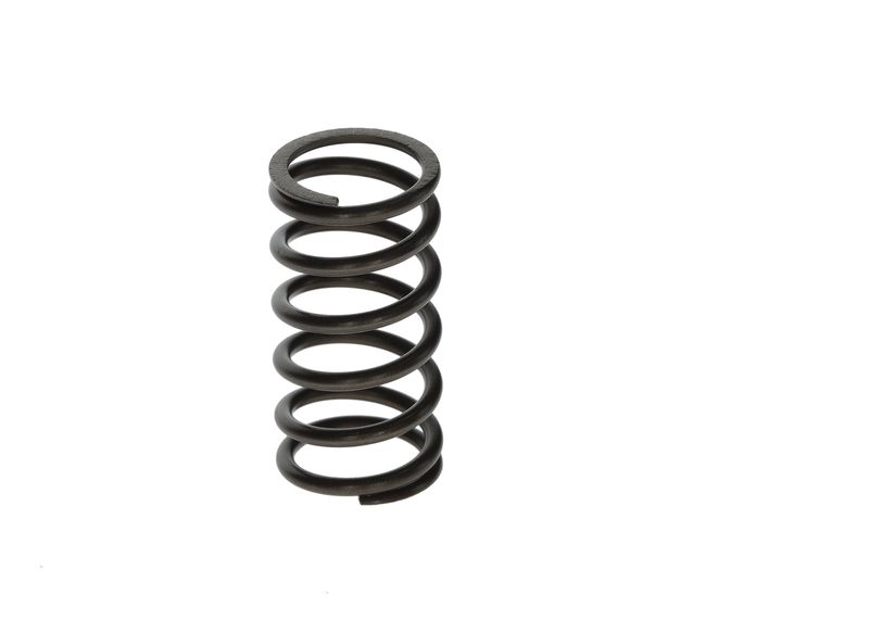 Рессора BOSCH F00N201853