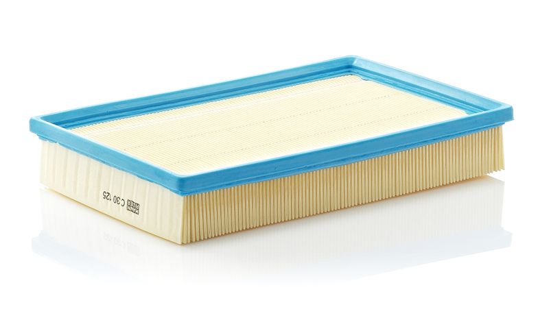 Воздушный фильтр MANN-FILTER C30125